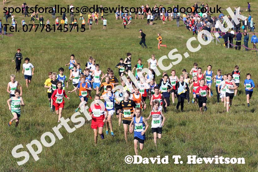 Boys under-13s, North East Harrier League, Cramlington. Photo: David T. Hewitson/Sports for All Pics